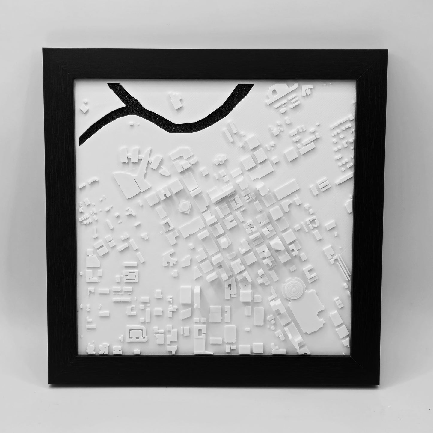 Fort Worth, Texas (3D City Map)