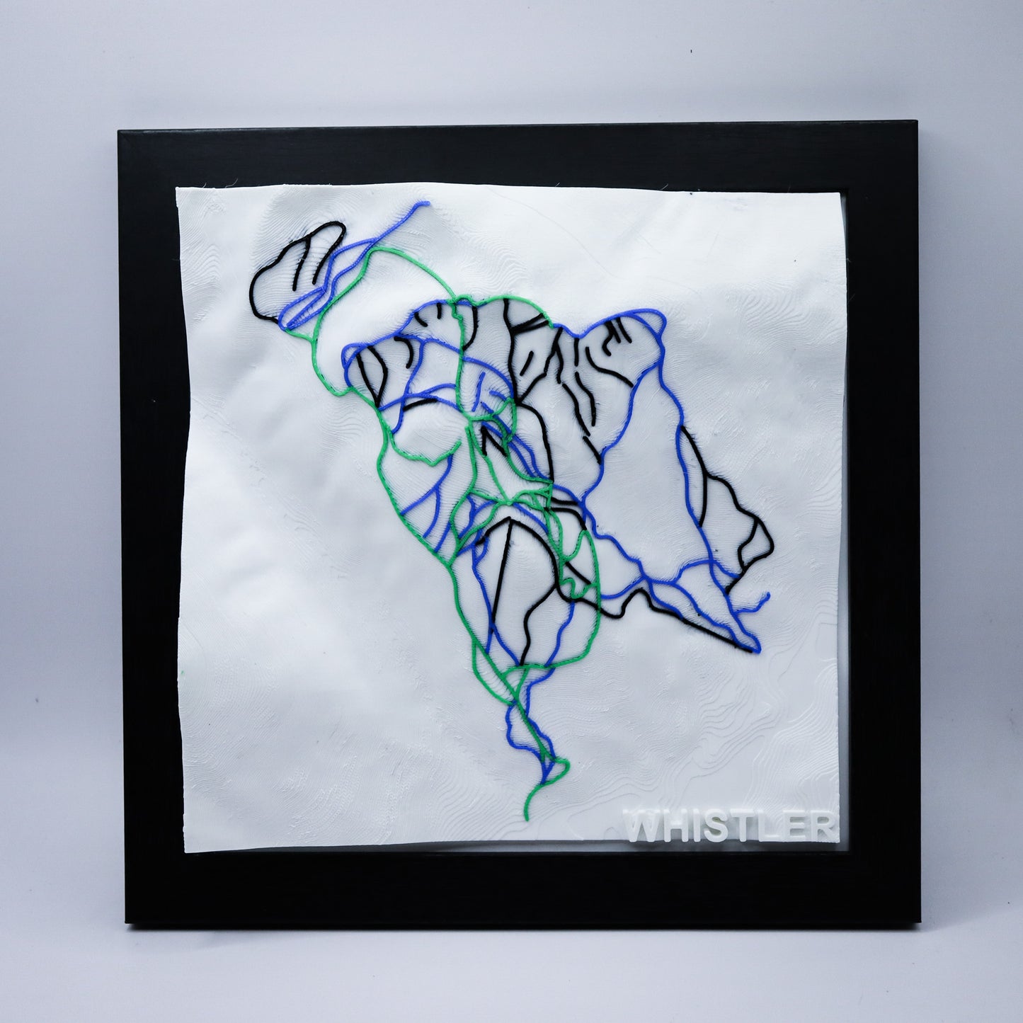 WHISTLER 3D SKI HILL MAP