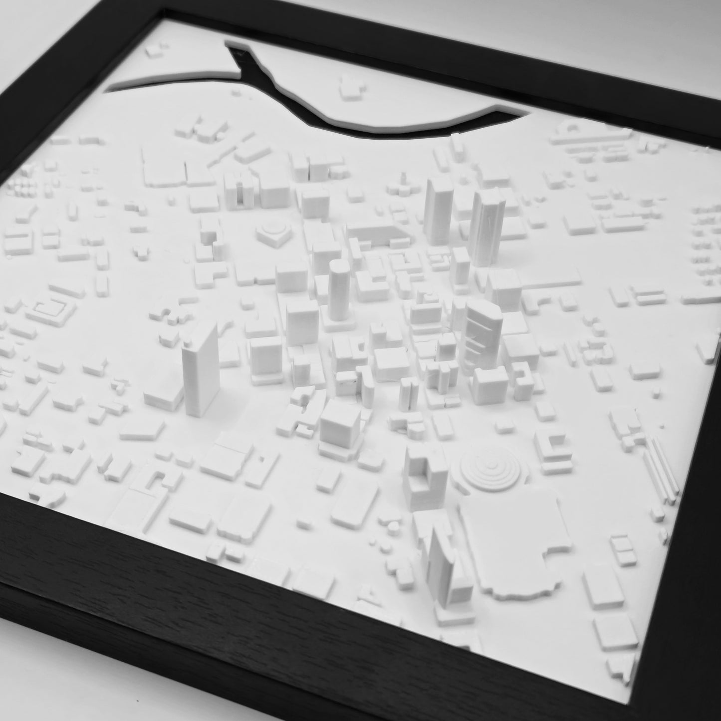 Fort Worth, Texas (3D City Map)