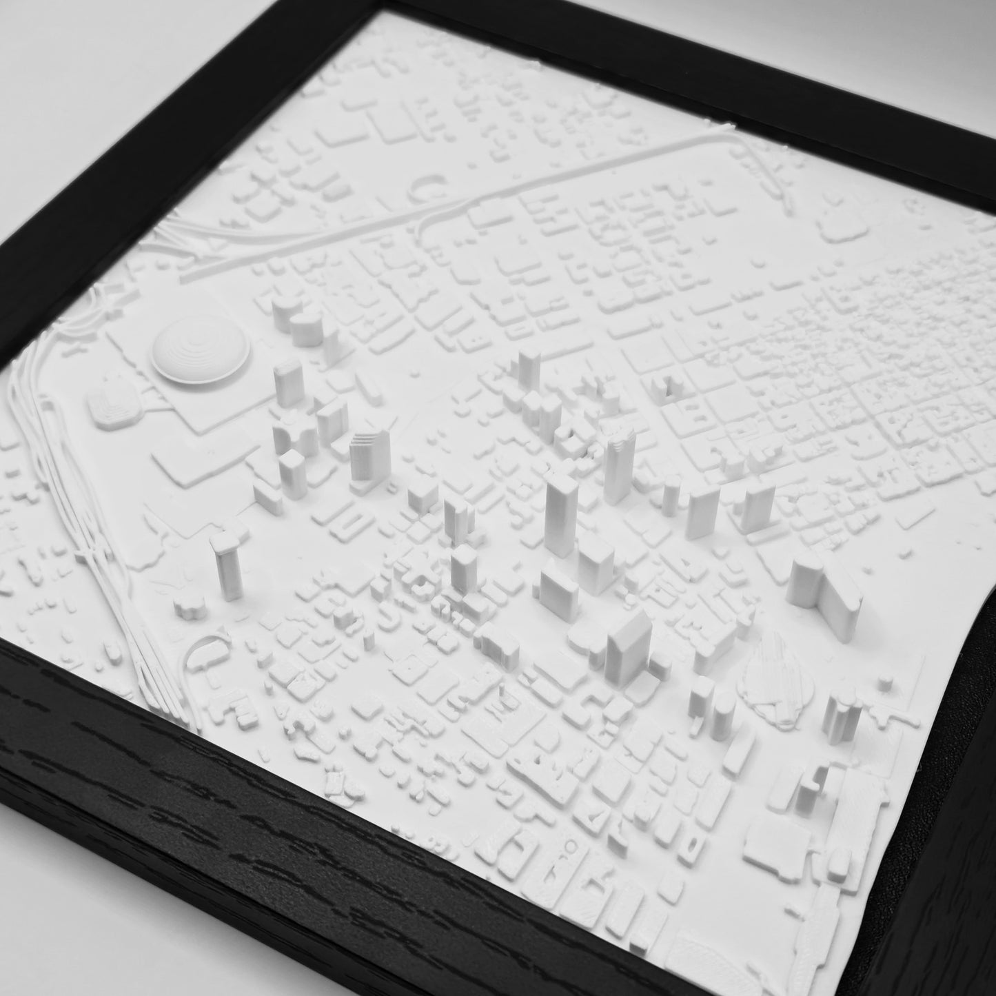 New Orleans, Louisiana (3D City Map)