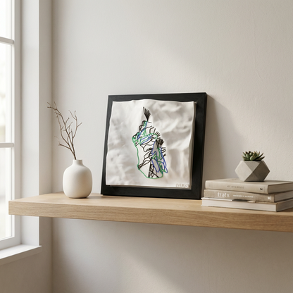 TAOS 3D SKI HILL MAP