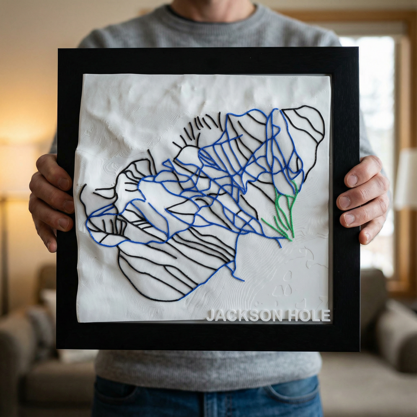 JACKSON HOLE 3D SKI HILL MAP