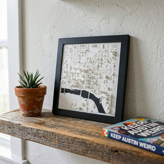 Austin, Texas (3D City Map)