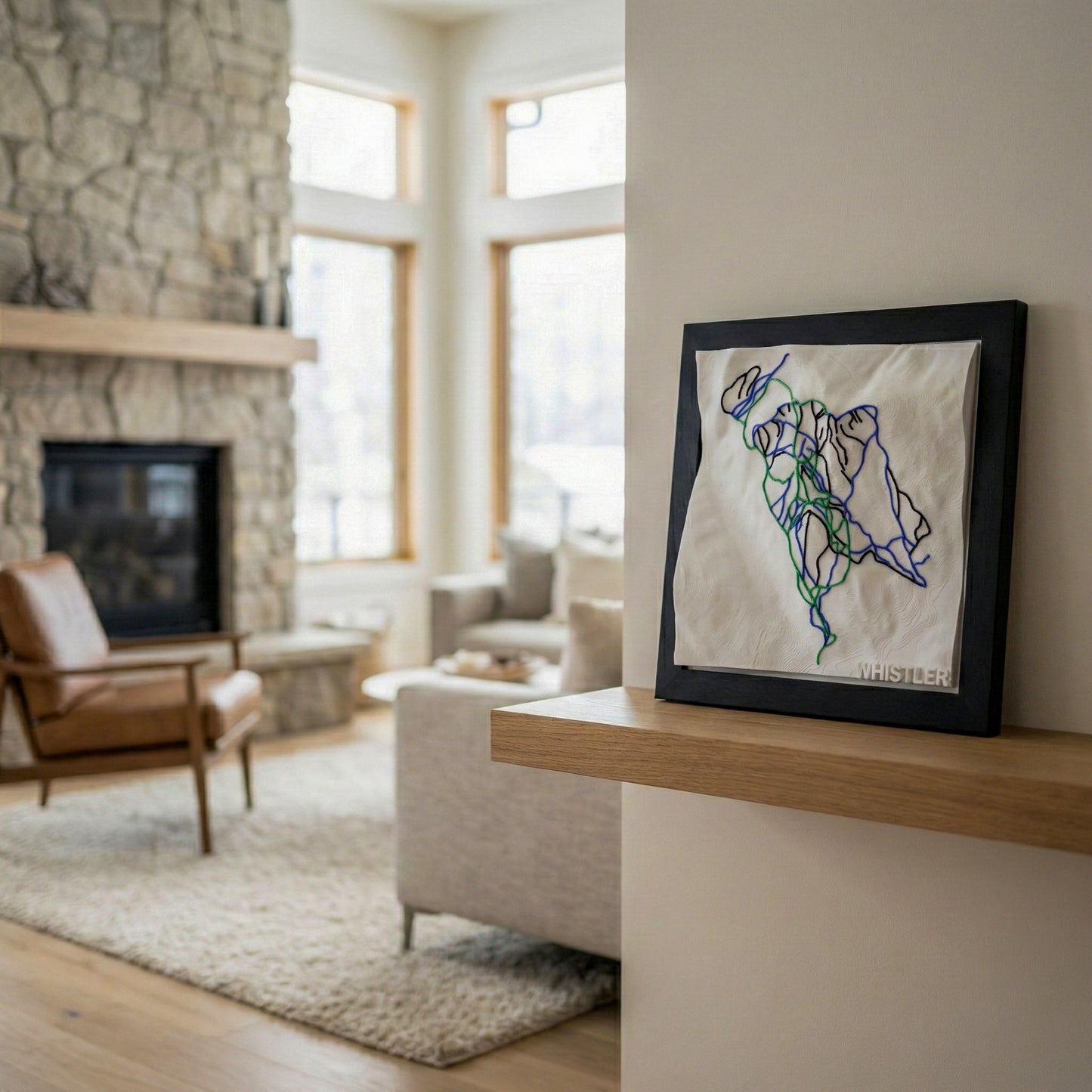 WHISTLER 3D SKI HILL MAP