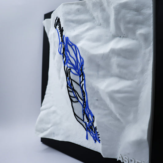 ASPEN 3D SKI HILL MAP