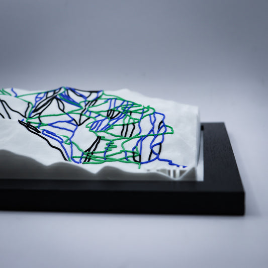 VAIL 3D SKI HILL MAP