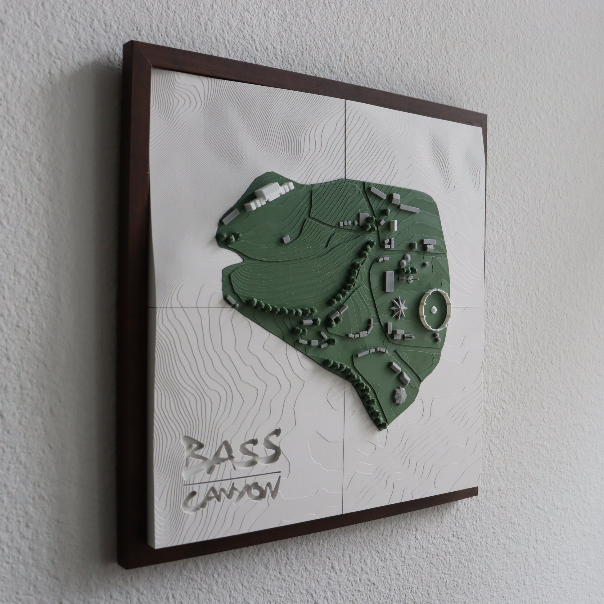 Framed artwork of a green map design on a white background