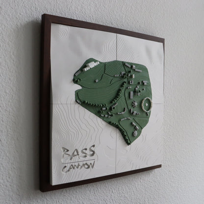 Framed artwork of a green map design on a white background