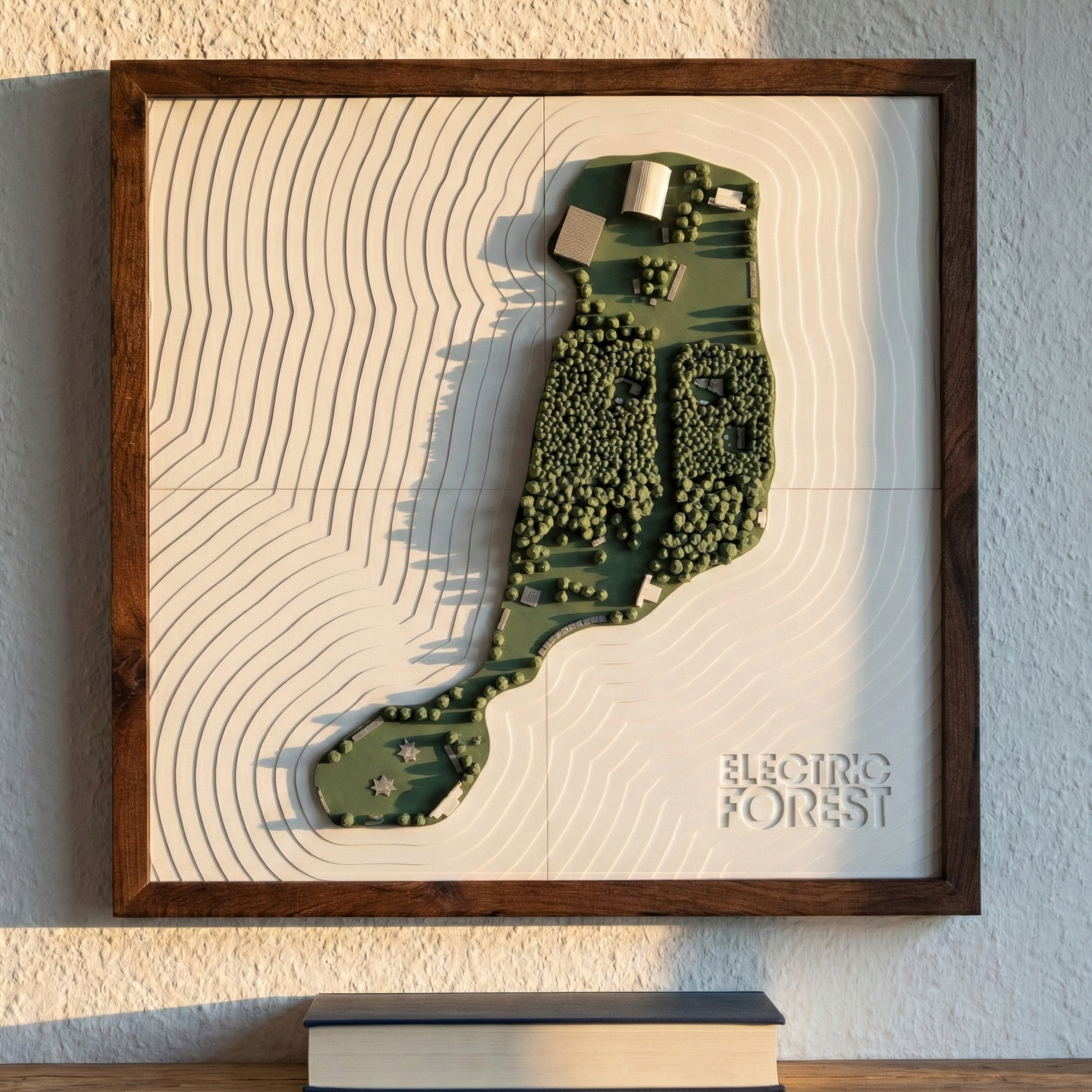 Framed topographic map of a forest on a wall