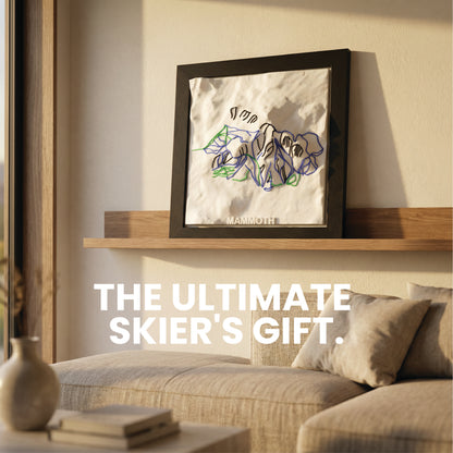 MAMMOTH MOUNTAIN 3D SKI HILL MAP