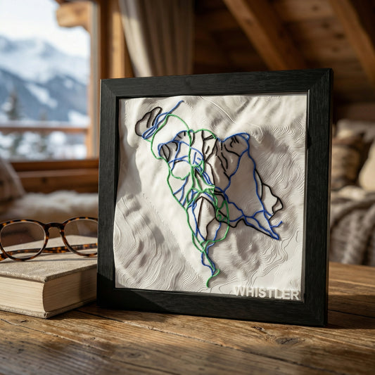 WHISTLER 3D SKI HILL MAP