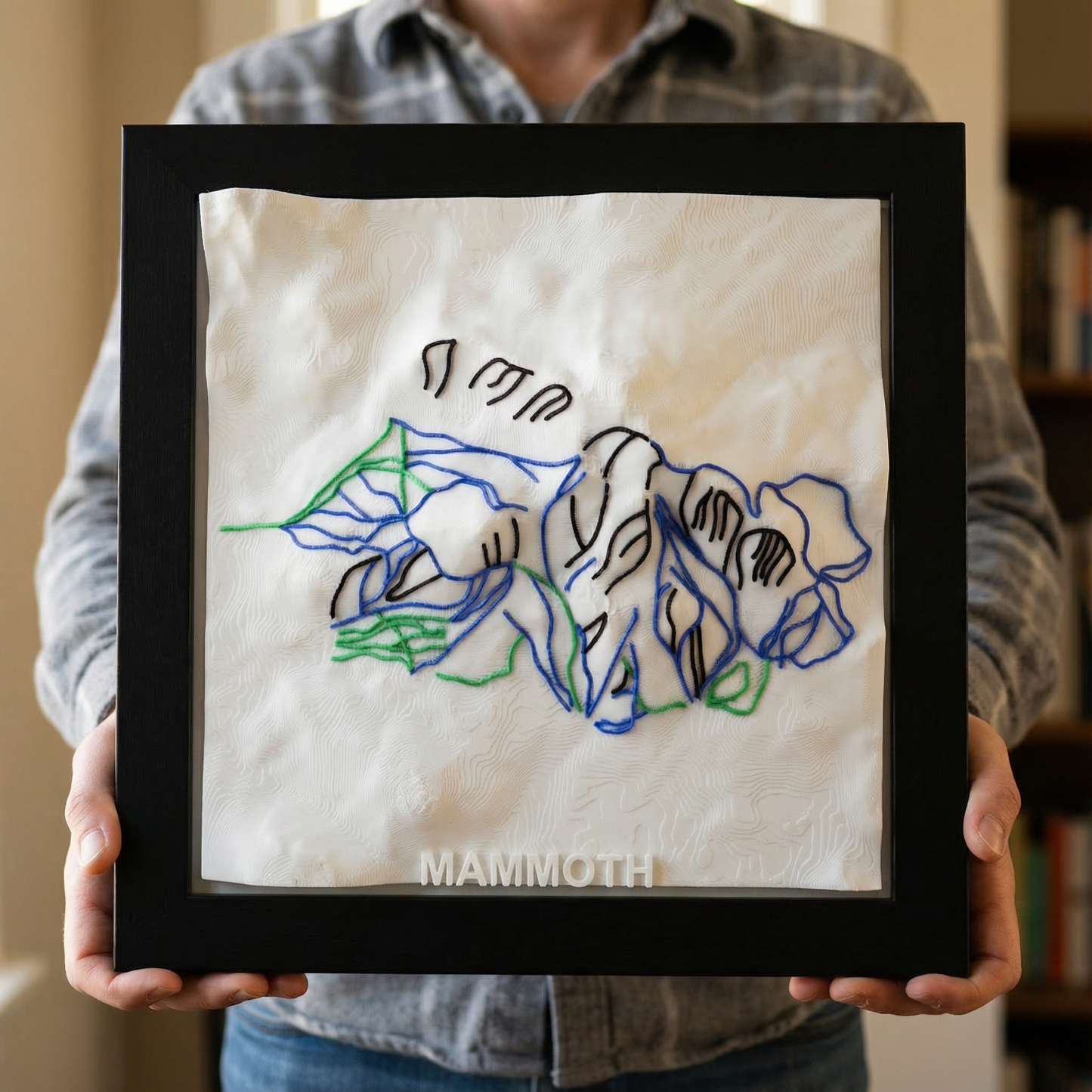 MAMMOTH MOUNTAIN 3D SKI HILL MAP