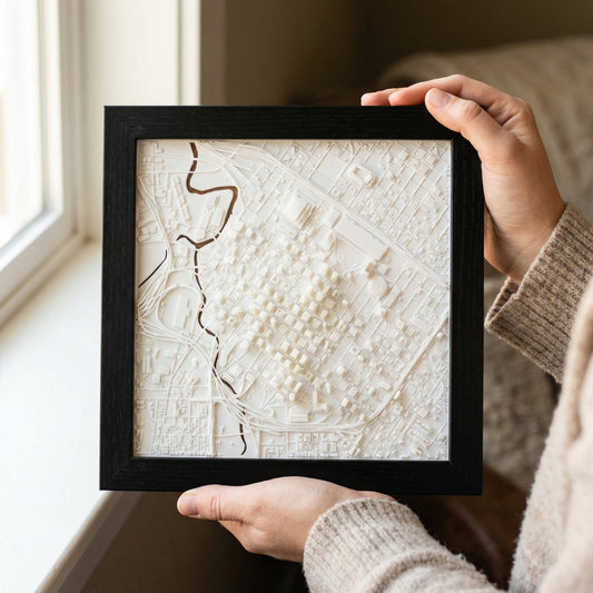 Houston, Texas (3D City Map)