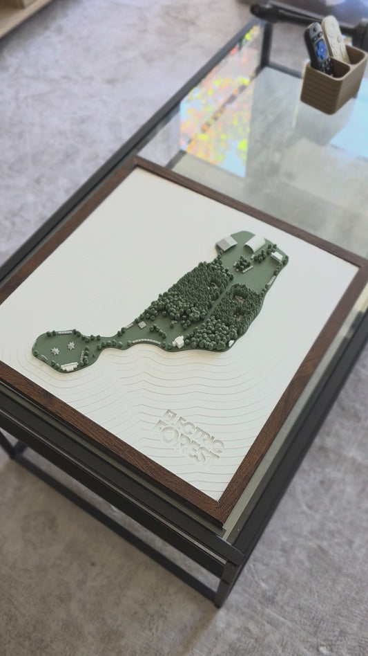 Electric Forest 3D Festival Map